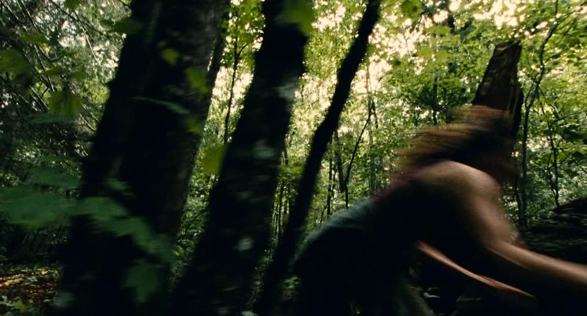 Screenshot Preview 1